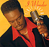I Wonder - Vince Chapman